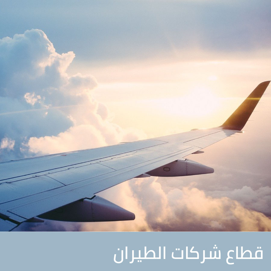 قطاع شركات الطيران

