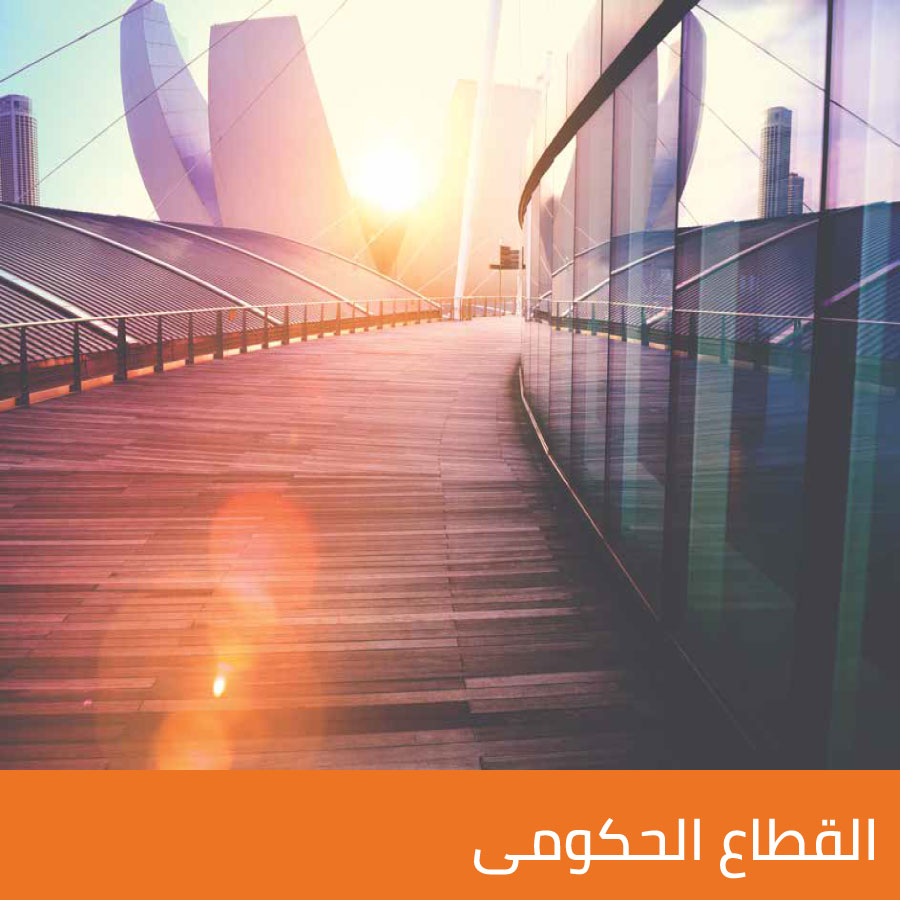 القطاع الحكومى
