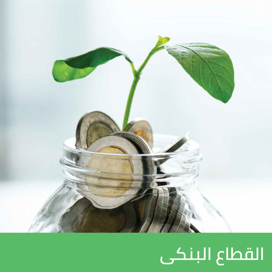 القطاع البنكى
